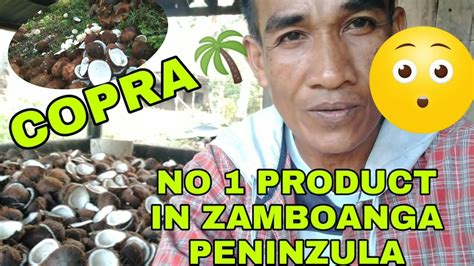 Mga produkto bagoong ng zamboanga